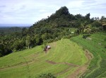 Bukit Jambul