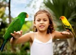 Bali-Zoo19