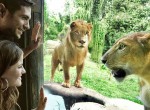 Bali-Zoo6