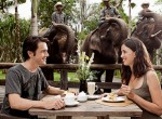Bali-Zoo7