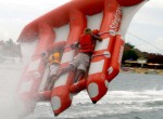 Fly-Fish-