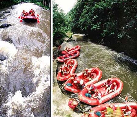 Ayung River Rafting