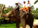 bakas-elephant1