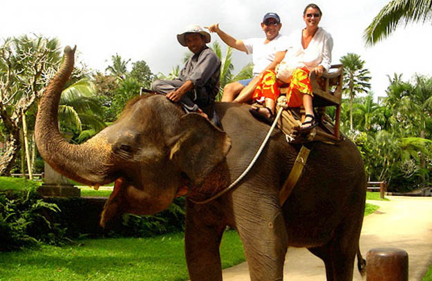 Bakas - Bali Elephant Riding